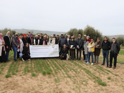 Launch of cross-visits in Tunisia with the Siliana - El Krib living laboratory (INAT)