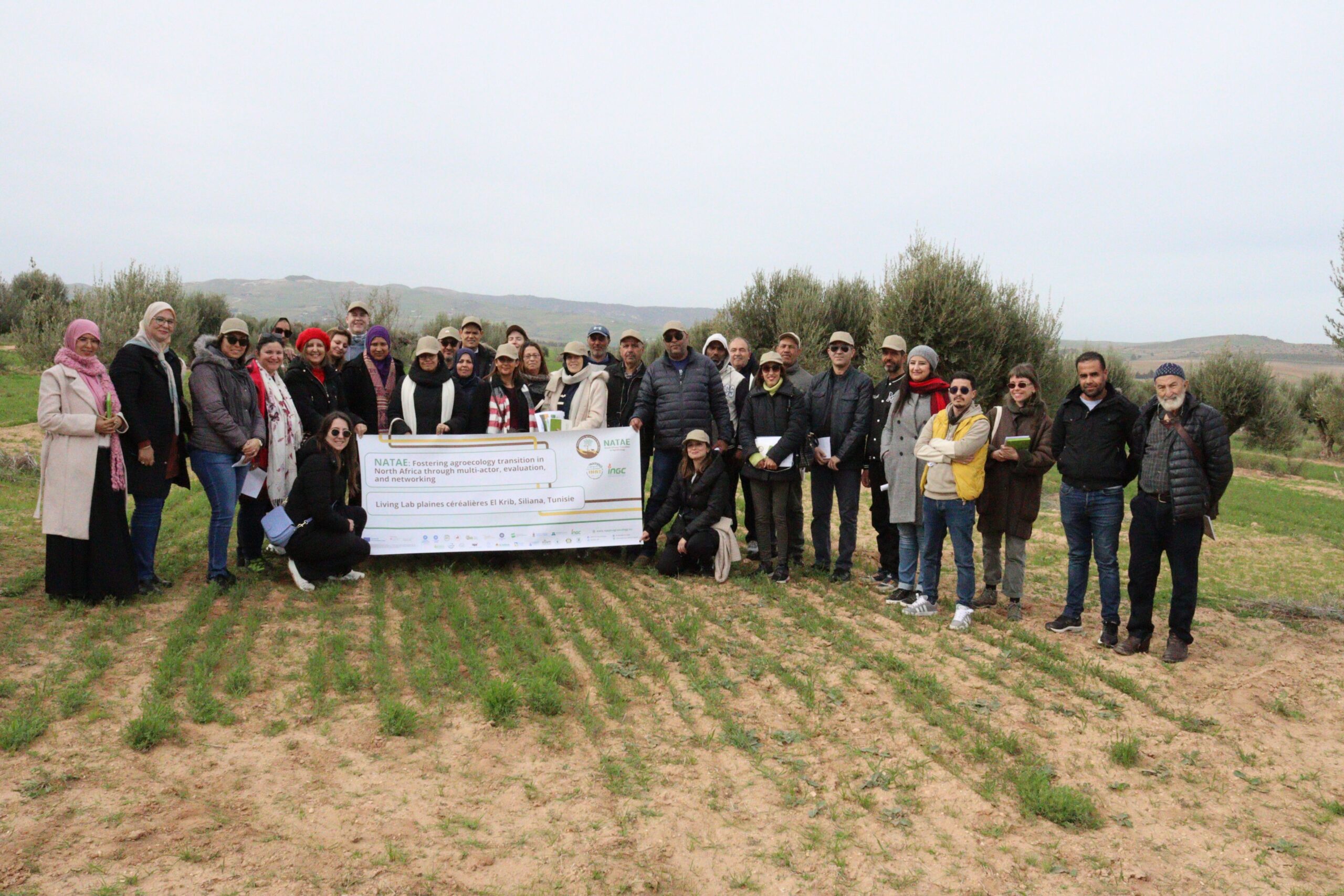 Launch of cross-visits in Tunisia with the Siliana - El Krib living laboratory (INAT)