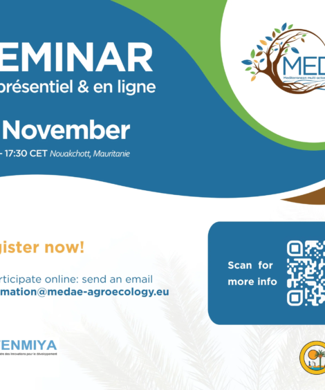 Medae - SEMINAR17_NOV_v2