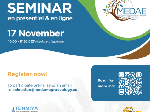 Medae - SEMINAR17_NOV_v2