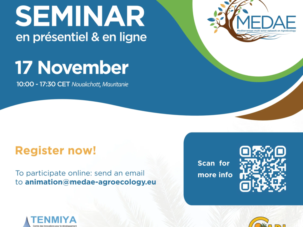 Medae - SEMINAR17_NOV_v2