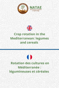 Crop rotation in the Mediterranean legumes and cereals