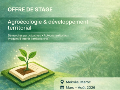 Offre de stage_1_webp