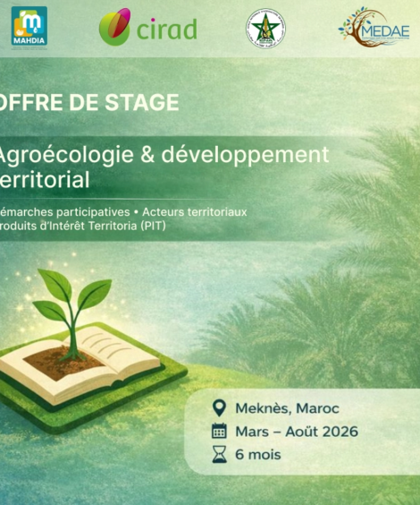 Offre de stage_1_webp