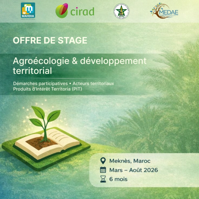 Offre de stage_1_webp