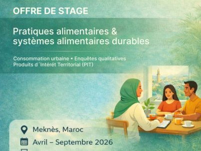 Offre de stage_2_webp