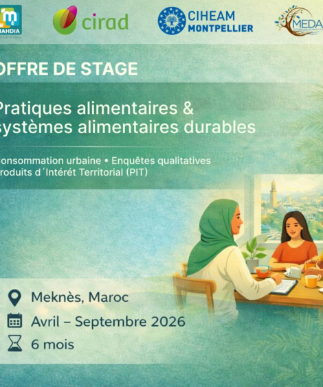 Offre de stage_2_webp