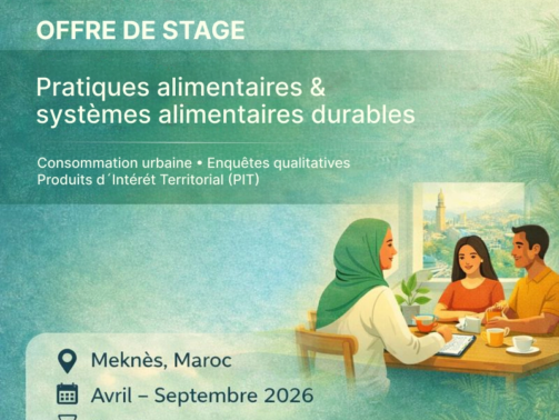 Offre de stage_2_webp