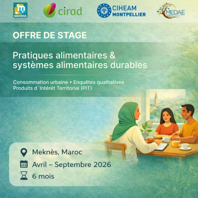 Offre de stage_2_webp